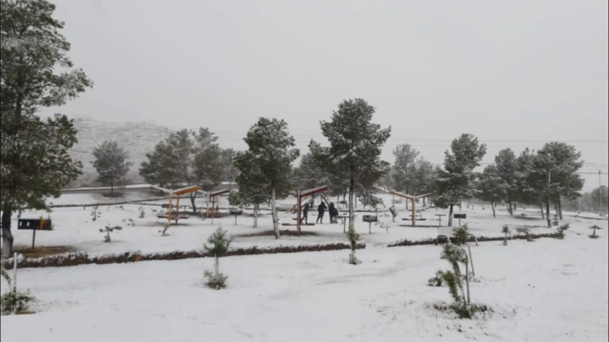 Captura de pantalla 2024 12 21 112044