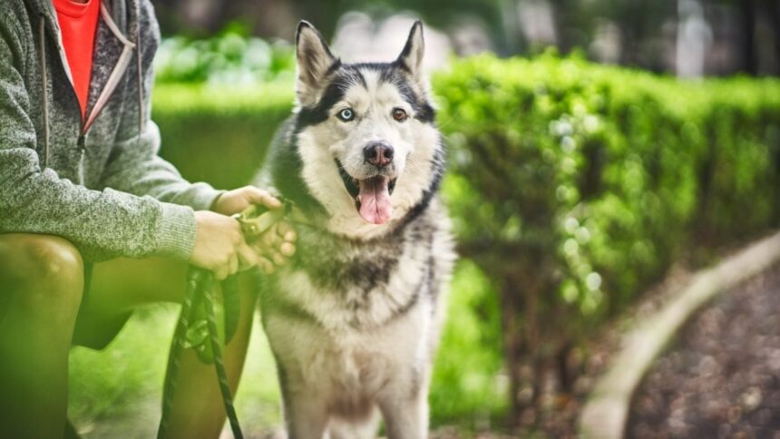 ADM 16 Anos de Fortalecimiento en la Conexion entre Mexicanos