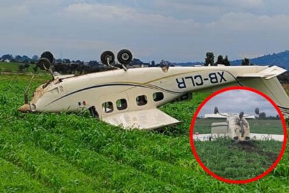 Avioneta se desploma en un campo agricola a lo largo