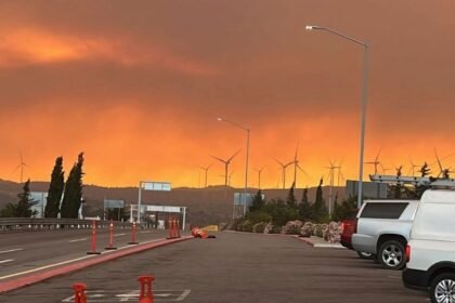 Clases Suspendidas en Mexicali Ante el Avance de Incendios Forestales