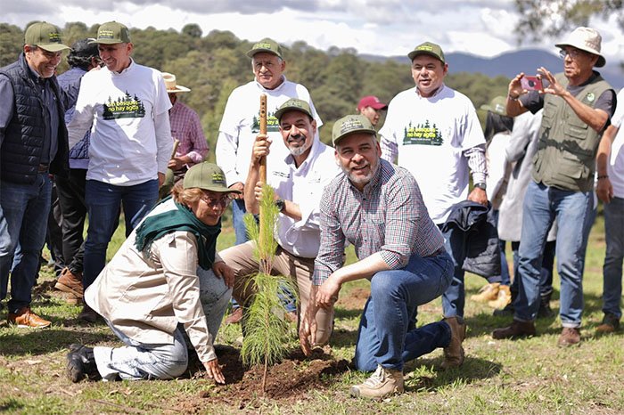 Comienza en julio la ambiciosa reforestacion con la dispersion aerea