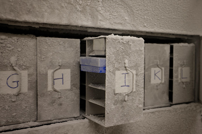 Descubriendo el Bunker de Microbios Esenciales La Urgente Mision de
