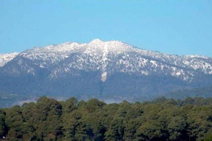 FGR Inicia Investigacion por Delito contra la Biodiversidad en Area