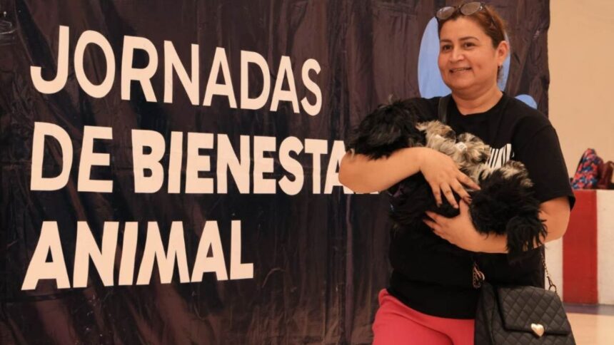 Gobierno de Monterrey Lanza Iniciativa de Esterilizacion para Fomentar la