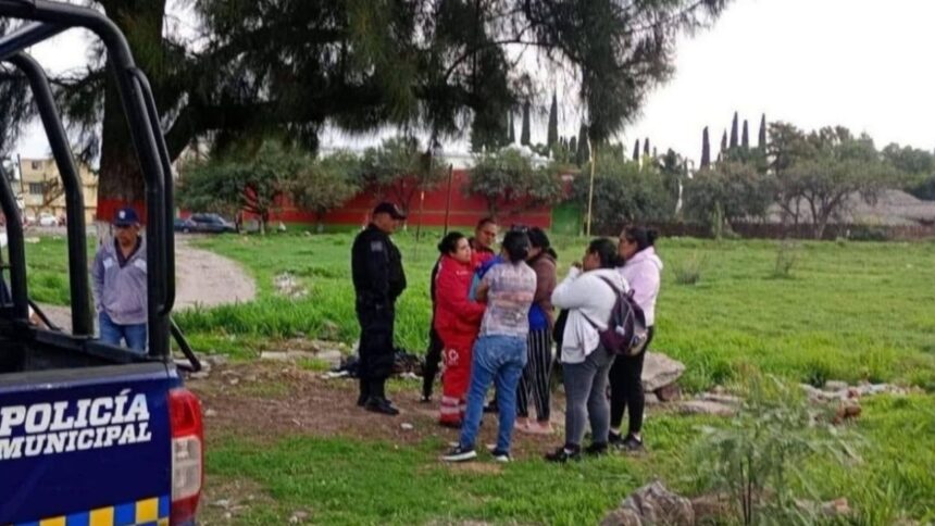 Hallan a recien nacida abandonada en un terreno baldio en