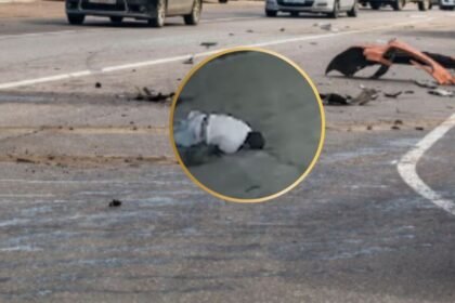 Motociclista es proyectado tras colisionar con un vehiculo estacionado durante