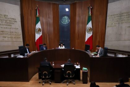 Tribunal Electoral del Poder Judicial emite 500 sentencias anuales en