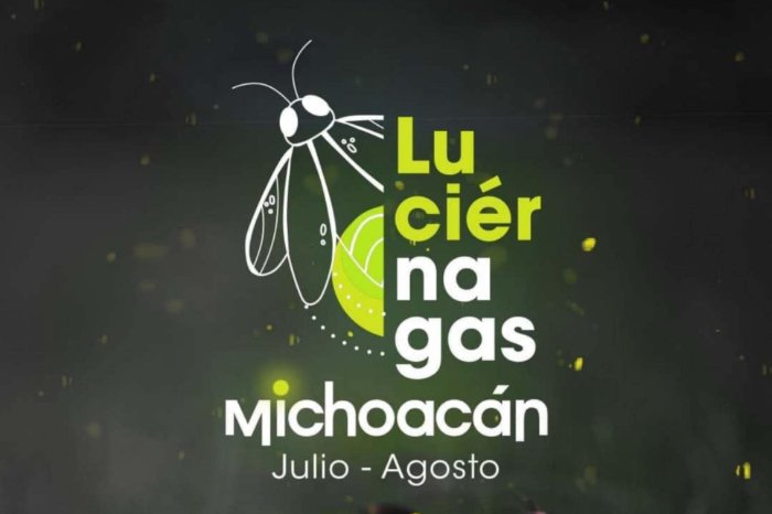 Descubre el magico resplandor de las luciernagas en Los Ailes