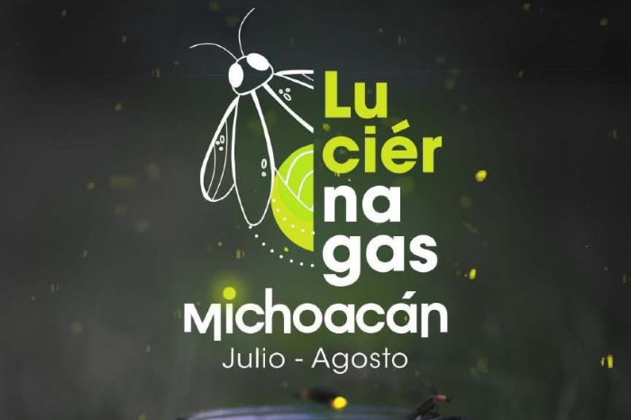 descubre la asombrosa danza de las luciernagas este verano en