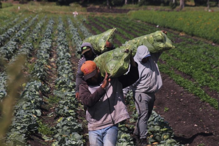 mexico sorprende con un crecimiento economico del 07 en el