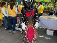 arranque de semana contra el dengue beneficio a mas de