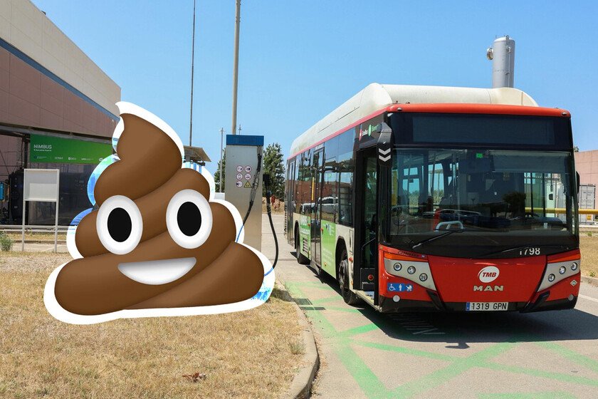 Ciudad celebra cinco años de éxito en la implementación de nuevas medidas urbanas