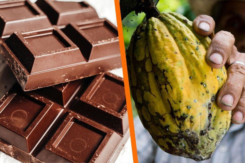 Nuevo Museo del Cacao y Chocolate en CDMX: precios y ubicación disponible