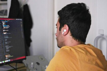 Usuario enfrenta la presencia permanente de una hormiga en su monitor