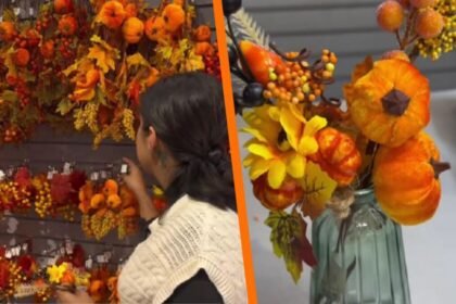 Dónde adquirir decoraciones para otoño y Día de Muertos en el centro de CDMX por menos de 100 pesos