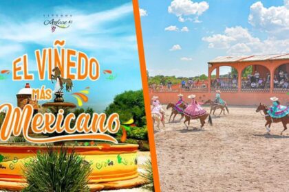 Evento con pisado de uvas, show ecuestre, mariachi y otras actividades destacadas