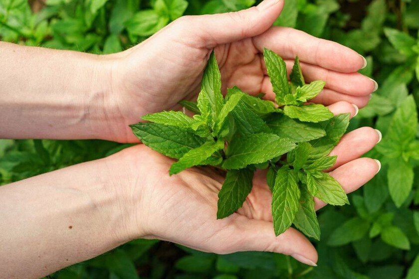 Guía completa para mantenerla siempre disponible y accesible