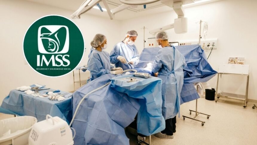 imss multiorganico