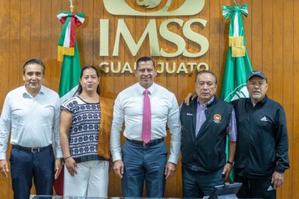 imss salvatierra