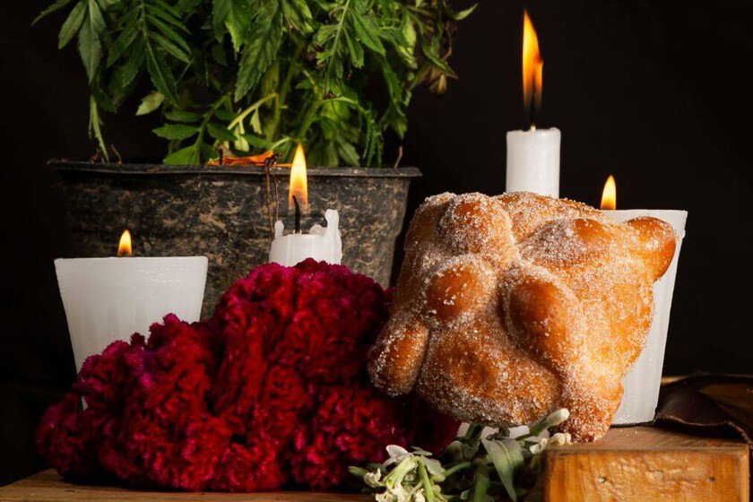 Museo de Coyoacán acogerá el Festival Cultural Café y Chocolate 2025 por el Día de Muertos