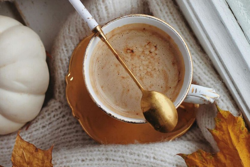 Usuarios en redes sociales comparten recomendaciones de favoritos tras consulta de una joven