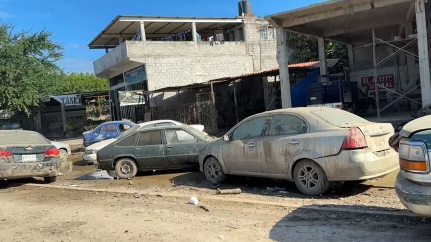 alamo enfrenta semanas de desastre sin llegada de ayuda oficial