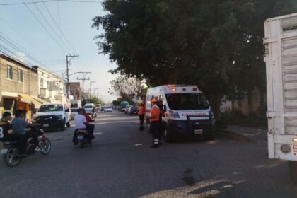ataque de abejas en irapuato deja cuatro heridos incluido una