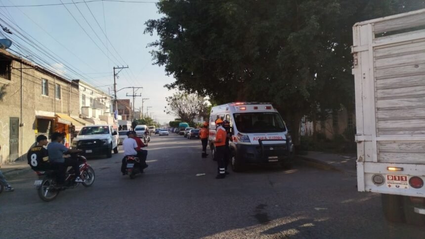 ataque de abejas en irapuato deja cuatro heridos incluido una