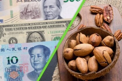 China, México y EE.UU. enfrentan nuevas tensiones económicas por el comercio de nueces