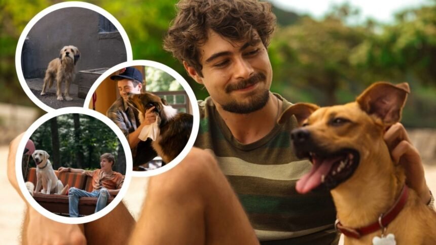 Cinco películas conmovedoras sobre perros recomendadas tras el estreno de Caramelo en Netflix