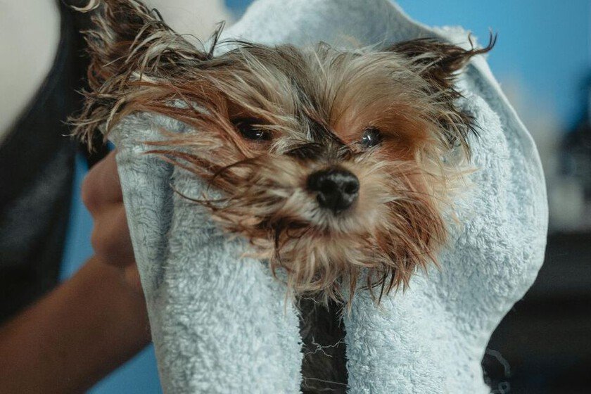 Cómo lograr una textura suave en el cabello