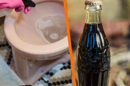 Coquita: Eficacia cuestionada para eliminar sarro del baño según múltiples recomendaciones