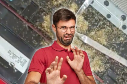 Descubre el interior más sorprendente y sucio de una computadora