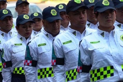 detencion de sujeto por despojo de arma a policia de