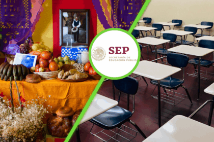 Duración y aplicabilidad de nuevos programas de apoyo gubernamental