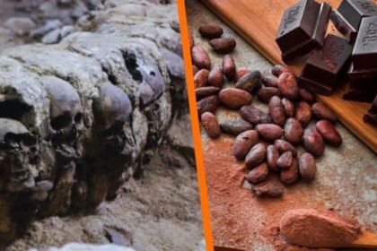 El altar de cráneos más grande de México se encuentra en una chocolatería en CDMX