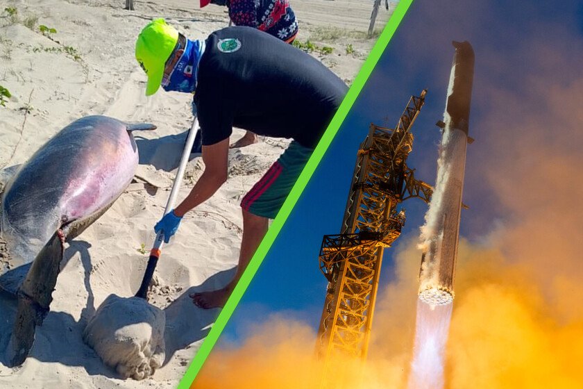 Hallan delfines muertos y restos del cohete SpaceX en Tamaulipas tras última prueba