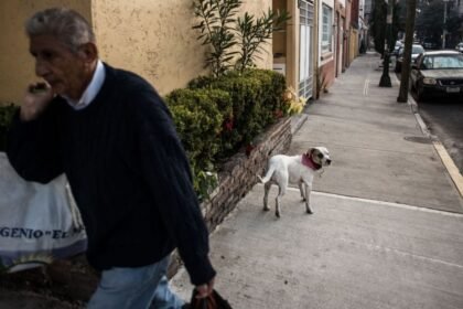 la cdmx prohibe la discriminacion en la renta o compra