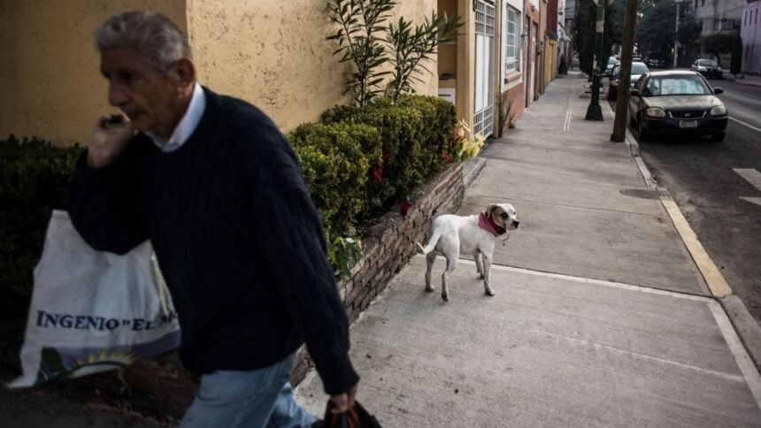 la cdmx prohibe la discriminacion en la renta o compra