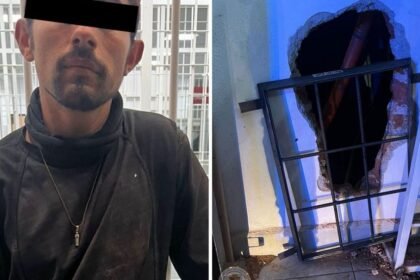 ladron rompe pared en ferreteria de canada del refugio y