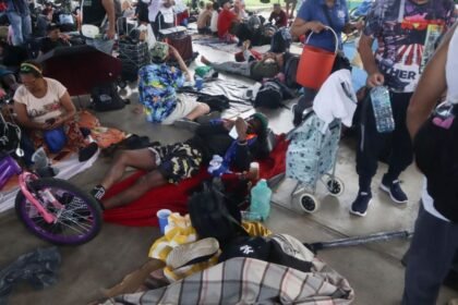 legisladores europeos llegan a mexico para evaluar derechos humanos y