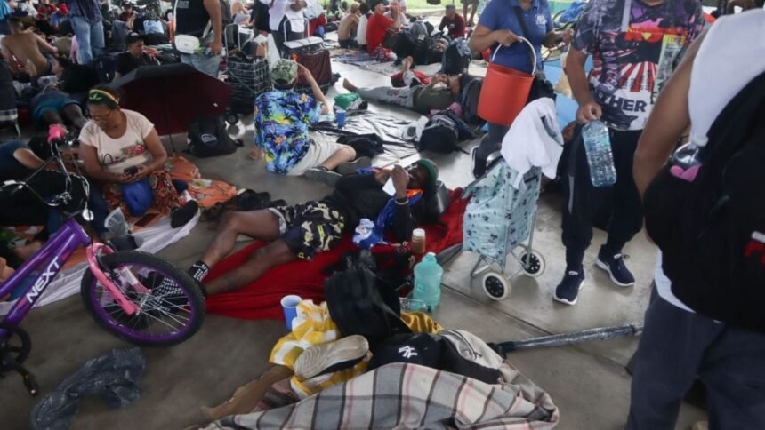 legisladores europeos llegan a mexico para evaluar derechos humanos y