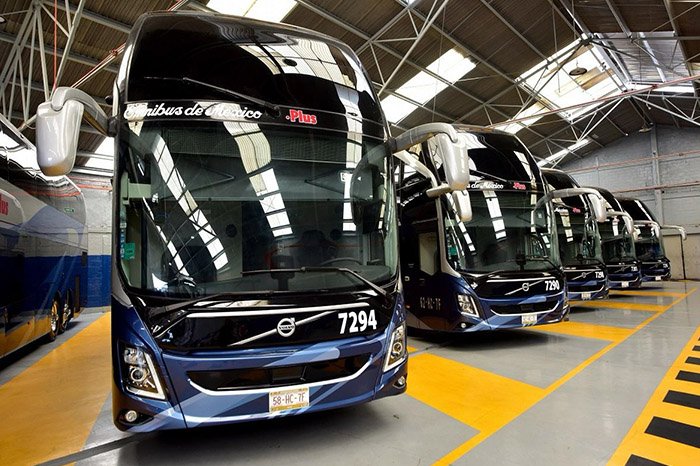 lineas de autobuses interrumpen servicios debido a bloqueos carreteros en