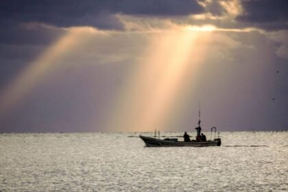 menores en embarcacion viajaron de forma voluntaria confirma la fiscalia