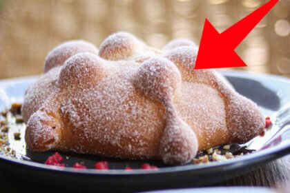 Nunca utilizar bolsa de plástico, ya que el moho se propagará con facilidad