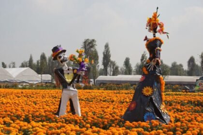 Sendero de las Almas, el campo de cempasúchil más destacado de CDMX