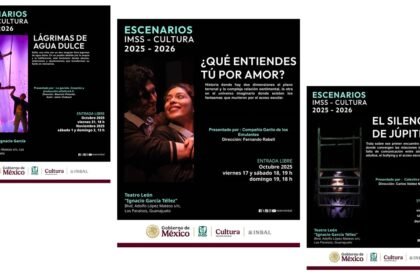 teatro imss