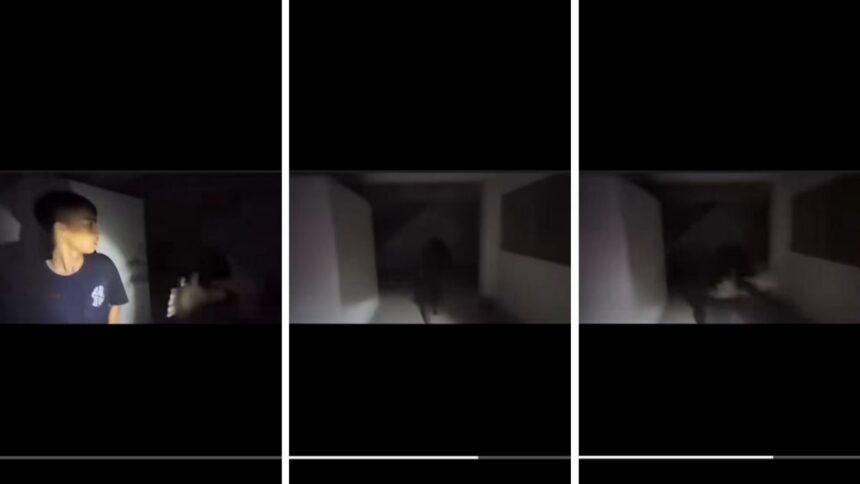 TikTokers enfrentan un ataque de un ente durante una experiencia aterradora en la noche