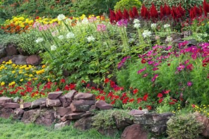 Tres especies que sobreviven al frío y tienen una vida superior a dos años