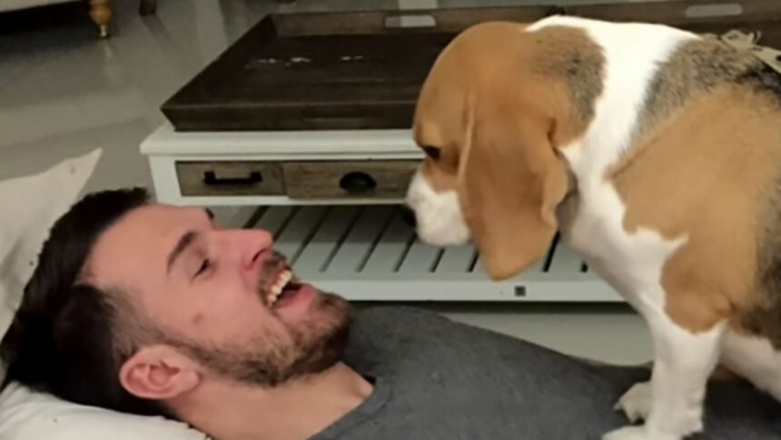 aaron ramsey deja mexico tras un fracaso deportivo y el